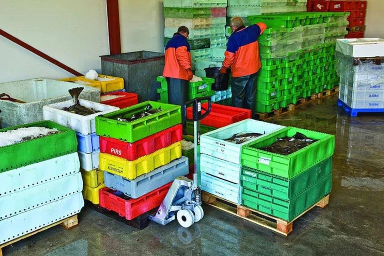 Toyota Lifter Stainless – Transpallet manuale in acciaio inossidabile - Immagine 4